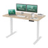 Maidesite Pro Series 55 inch Height Adjustable Electric Standing Desk